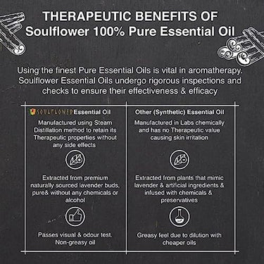 Soulflower Cinnamon Essential Oil for Skin Care, Hair Care, Hydrating | 100% Pure, Natural, Undiluted Cinnamon Essential Oil 15ml